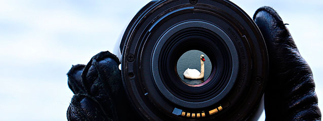 La distancia focal en fotografía