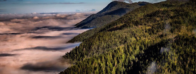 fotografos de naturaleza en Instagram