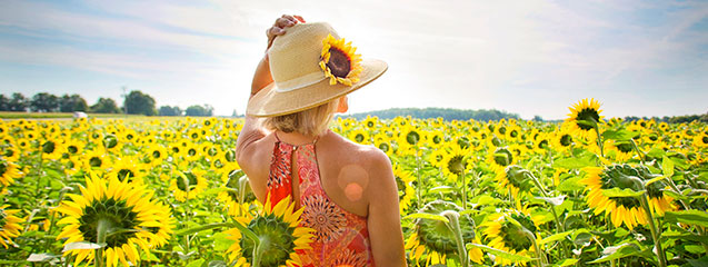 Crea el paisaje de verano perfecto